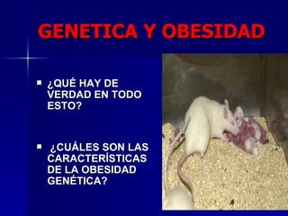 ¿ QUÉ HAY DE VERDAD EN TODO ESTO?  ¿CUÁLES SON LAS CARACTERÍSTICAS DE LA OBESIDAD GENÉTICA?  GENETICA Y OBESIDAD 