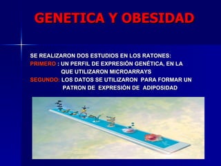 SE REALIZARON DOS ESTUDIOS EN LOS RATONES:  PRIMERO  : UN PERFIL DE EXPRESIÓN GENÉTICA, EN LA  QUE UTILIZARON MICROARRAYS SEGUNDO:  LOS DATOS SE UTILIZARON  PARA FORMAR UN  PATRON DE  EXPRESIÓN DE  ADIPOSIDAD   GENETICA Y OBESIDAD 
