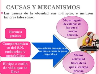 CAUSAS Y MECANISMOS Las causas de la obesidad son múltiples, e incluyen factores tales como:. Comportamiento del S.N, endocrino y metabólico Herencia genética El tipo o estilo de vida que se lleve Los mecanismos para que estos factores causen exceso de grasa corporal son Mayor ingesta de calorías de las que el cuerpo necesita. Menor actividad física de la que el cuerpo precisa 