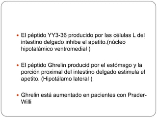 El péptido YY3-36 producidoporlascélulas L del intestinodelgadoinhibe el apetito.(núcleo hipotalámico ventromedial)El péptidoGhrelinproducidpor el estómago y la porción proximal del intestinodelgadoestimula el apetito. (Hipotálamo lateral )Ghrelin está aumentado en pacientes con Prader-Willi