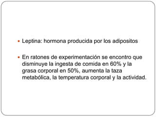 Leptina: hormona producida por los adipositosEn ratones de experimentación se encontroque disminuye la ingesta de comida en 60% y la grasa corporal en 50%, aumenta la taza metabólica, la temperatura corporal y la actividad.
