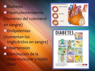 Diabetes
Hipercolesterolemia
(Aumento del colesterol
en sangre)
Dislipidemias
(Aumentan los
triglicéridos en sangre)
Hipertensión
Disminución de la
masa muscular y tejido
óseo
 