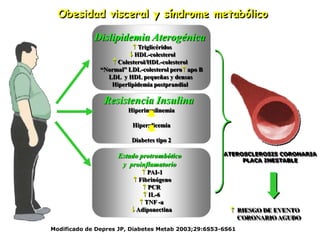 Obesidad visceral y síndrome metabólico

             Dislipidemia Aterogénica
                           Triglicéridos
                          HDL-colesterol
                    Colesterol/HDL-colesterol
               “Normal” LDL-colesterol pero apo B
                 LDL y HDL pequeñas y densas
                  Hiperlipidemia postprandial

                Resistencia Insulina
                        Hiperinsulinemia

                          Hiperglicemia

                         Diabetes tipo 2

                     Estado protrombótico            ATEROSCLEROSIS CORONARIA
                                                          PLACA INESTABLE
                      y proinflamatorio
                              PAI-1
                           Fibrinógeno
                              PCR
                              IL-6
                             TNF -a
                          Adiponectina                 RIESGO DE EVENTO
                                                         CORONARIO AGUDO
Modificado de Depres JP, Diabetes Metab 2003;29:6S53-6S61
 