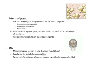 • Células adiposas
    – Períodos críticos para la reproducción de las células adiposas
         •   Último trimestre de la gestación
         •   Primeros dos años de vida
         •   Adolescencia
    – Hiperplasia de tejido adiposo, factores genéticos, endócrinos, metabólicos y
      alimenticios.
    – Alteraciones funcionales en tejido adiposo pardo




• SNC
    – Mecanismos que regulan el acto de comer (hipotálamo)
    – Regulación del metabolismo energético
    – Tumores, inflamaciones, o lesiones en zona hipotalámica causan obesidad
 