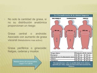 🞭 No solo la cantidad de grasa, si
no su distribución anatómica
proporcionan un riesgo
- Grasa central o androide:
Asociado con aumento de grasa
visceral (Metabolismo mas activo)
- Grasa periférica o ginecoide:
Nalgas, caderas y muslos
Medida clínica útil cintura/cadera
: mayor 1 H- 0,85 M
 