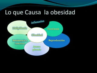 Lo que Causa la obesidad