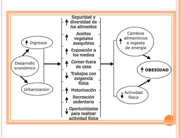 LA OBESIDAD LA OBESIDAD