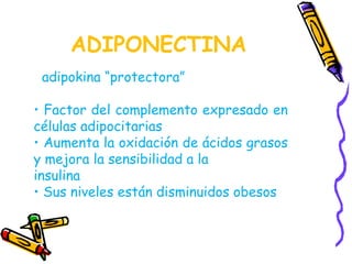ADIPONECTINA 
adipokina “protectora” 
• Factor del complemento expresado en 
células adipocitarias 
• Aumenta la oxidación de ácidos grasos 
y mejora la sensibilidad a la 
insulina 
• Sus niveles están disminuidos obesos 
 