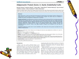 Obesidad y endotelio 