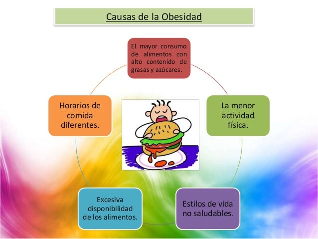 La Obesidad. La Obesidad.