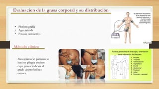 • Pletismografia
• Agua tritiada
• Potasio radioactivo
Método clínico
Para apreciar el panículo se
hará un pliegue cutáneo
cuyo grosor indicara el
grado de profusión o
escasez.
 