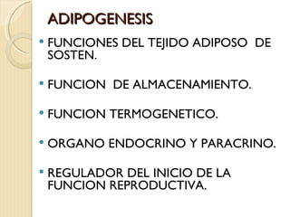 ADIPOGENESIS
   FUNCIONES DEL TEJIDO ADIPOSO DE
    SOSTEN.

   FUNCION DE ALMACENAMIENTO.

   FUNCION TERMOGENETICO.

   ORGANO ENDOCRINO Y PARACRINO.

   REGULADOR DEL INICIO DE LA
    FUNCION REPRODUCTIVA.
 