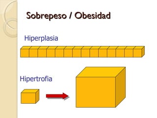 Sobrepeso / Obesidad

 Hiperplasia




Hipertrofia
 