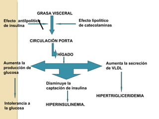 GRASA VISCERAL
Efecto antilpolitico                   Efecto lipolitico
de insulina                            de catecolaminas


              CIRCULACIÓN PORTA


                            HÍGADO

Aumenta la                                           Aumenta la secreción
producción de                                        de VLDL
glucosa

                       Disminuye la
                       captación de insulina
                                                HIPERTRIGLICERIDEMIA
Intolerancia a         HIPERINSULINEMIA.
la glucosa
 