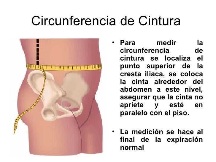 Bajo porcentaje de grasa corporal Bajo porcentaje de grasa corporal
