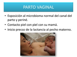 PARTO VAGINAL
• Exposición al microbioma normal del canal del
  parto y periné.
• Contacto piel con piel con su mamá.
• Inicio precoz de la lactancia al pecho materno.
 