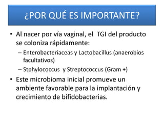 ¿POR QUÉ ES IMPORTANTE?
• Al nacer por vía vaginal, el TGI del producto
  se coloniza rápidamente:
  – Enterobacteriaceas y Lactobacillus (anaerobios
    facultativos)
  – Stphylococcus y Streptococcus (Gram +)
• Este microbioma inicial promueve un
  ambiente favorable para la implantación y
  crecimiento de bifidobacterias.
 
