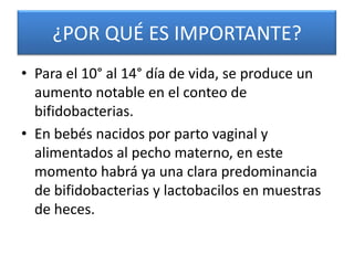 ¿POR QUÉ ES IMPORTANTE?
• Para el 10° al 14° día de vida, se produce un
  aumento notable en el conteo de
  bifidobacterias.
• En bebés nacidos por parto vaginal y
  alimentados al pecho materno, en este
  momento habrá ya una clara predominancia
  de bifidobacterias y lactobacilos en muestras
  de heces.
 