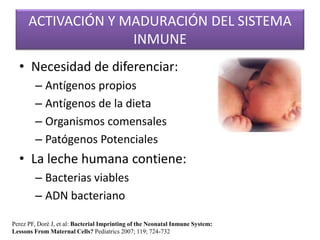 ACTIVACIÓN Y MADURACIÓN DEL SISTEMA
                    INMUNE
  • Necesidad de diferenciar:
        – Antígenos propios
        – Antígenos de la dieta
        – Organismos comensales
        – Patógenos Potenciales
  • La leche humana contiene:
        – Bacterias viables
        – ADN bacteriano

Perez PF, Doré J, et al: Bacterial Imprinting of the Neonatal Inmune System:
Lessons From Maternal Cells? Pediatrics 2007; 119; 724-732
 