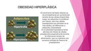 OBESIDAD HIPERPLÁSICA
El crecimiento del tejido adiposo se
da principalmente por aumento del
tamaño de las células [hipertrofia],
luego, los adipocitos no proliferan
por mitosis, pero hay células
preadipocitos que persisten en la
vida adulta y se diferencian a
adipocitos. [hiperplasia]
En la obesidad hiperplásica tenés
alta tasa de mitosis de células
preadipocitos especialmente durante
la infancia por exceso de
alimentación, que va a generar una
excesiva cantidad de reserva de
preadipocitos.
 