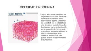 OBESIDAD ENDOCRINA
El tejido adiposo se considera un
órgano endocrino con secreción
hormonal; el aumento en la
secreción de leptina, una señal
de saciedad, por el adipocito es
una alteración característica. En
la obesidad hay una disminución
en la secreción de hormona de
crecimiento; esta alteración en la
función somatotropa de la
obesidad es funcional y se
puede revertir en determinadas
circunstancias
 