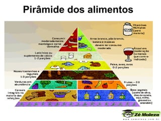 Pirâmide dos alimentos 