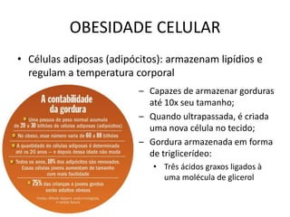 OBESIDADE CELULAR
• Células adiposas (adipócitos): armazenam lipídios e
  regulam a temperatura corporal
                          – Capazes de armazenar gorduras
                            até 10x seu tamanho;
                          – Quando ultrapassada, é criada
                            uma nova célula no tecido;
                          – Gordura armazenada em forma
                            de triglicerídeo:
                             • Três ácidos graxos ligados à
                               uma molécula de glicerol
 