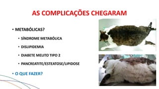 AS COMPLICAÇÕES CHEGARAM
• METABÓLICAS?
• SÍNDROME METABÓLICA
• DISLIPIDEMIA
• DIABETE MELITO TIPO 2
• PANCREATITE/ESTEATOSE/LIPIDOSE
• O QUE FAZER?
 