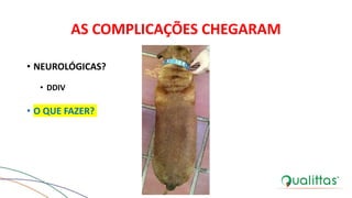 AS COMPLICAÇÕES CHEGARAM
• NEUROLÓGICAS?
• DDIV
• O QUE FAZER?
 