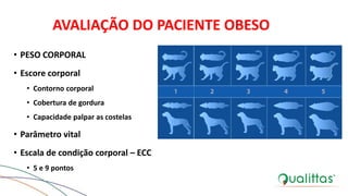 AVALIAÇÃO DO PACIENTE OBESO
• PESO CORPORAL
• Escore corporal
• Contorno corporal
• Cobertura de gordura
• Capacidade palpar as costelas
• Parâmetro vital
• Escala de condição corporal – ECC
• 5 e 9 pontos
 