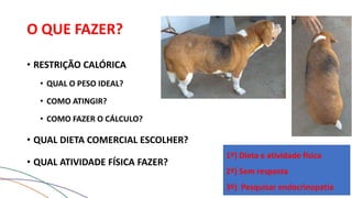 O QUE FAZER?
• RESTRIÇÃO CALÓRICA
• QUAL O PESO IDEAL?
• COMO ATINGIR?
• COMO FAZER O CÁLCULO?
• QUAL DIETA COMERCIAL ESCOLHER?
• QUAL ATIVIDADE FÍSICA FAZER?
1º) Dieta e atividade física
2º) Sem resposta
3º) Pesquisar endocrinopatia
 