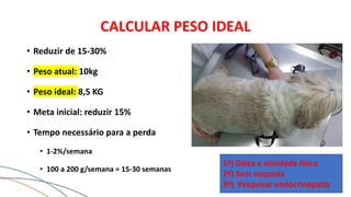 CALCULAR PESO IDEAL
• Reduzir de 15-30%
• Peso atual: 10kg
• Peso ideal: 8,5 KG
• Meta inicial: reduzir 15%
• Tempo necessário para a perda
• 1-2%/semana
• 100 a 200 g/semana = 15-30 semanas
1º) Dieta e atividade física
2º) Sem resposta
3º) Pesquisar endocrinopatia
 
