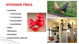 ATIVIDADE FÍSICA
• Caminhada
• 15-30 minutos
• 2-3 xx/semana
• Início gradativo
• Comorbidades
• Esteira
• Hidroesteira
• Brincadeiras
• Enriquecimento ambiental
 