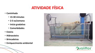ATIVIDADE FÍSICA
• Caminhada
• 15-30 minutos
• 2-3 xx/semana
• Início gradativo
• Comorbidades
• Esteira
• Hidroesteira
• Brincadeiras
• Enriquecimento ambiental
 