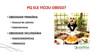 PQ ELE FICOU OBESO?
• OBESIDADE PRIMÁRIA
• Excesso de calorias
• Sedentarismo
• OBESIDADE SECUNDÁRIA
• ENDOCRINOPATIAS
• FÁRMACOS
 