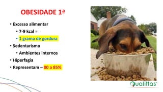 OBESIDADE 1ª
• Excesso alimentar
• 7-9 kcal =
• 1 grama de gordura
• Sedentarismo
• Ambientes internos
• Hiperfagia
• Representam – 80 a 85%
 