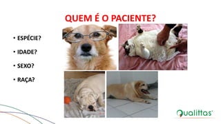 QUEM É O PACIENTE?
• ESPÉCIE?
• IDADE?
• SEXO?
• RAÇA?
 