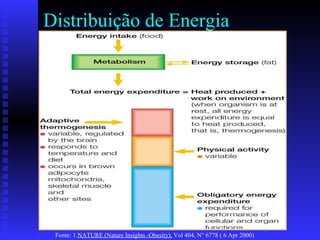 Distribuição de Energia Fonte:  1. NATURE (Nature Insights -Obesity),  Vol 404, N° 6778 ( 6 Apr 2000) 