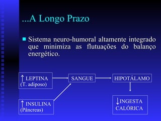 ...A Longo Prazo Sistema neuro-humoral altamente integrado que minimiza as flutuações do balanço energético. ↑   LEPTINA (T. adiposo)  ↑   INSULINA (Pâncreas) SANGUE HIPOTÁLAMO ↓ INGESTA CALÓRICA 