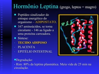 Hormônio Leptina  (grego, leptos = magro) Peptídeo sinalizador do estoque energético do organismo –  ADIPOSTATO . 167 aminoácidos, se torna circulante - 146 aa  ligado a uma proteína carreadora. Síntese:  TECIDO ADIPOSO PLACENTA EPITÉLIO INTESTINAL  Degradação: - Rim: 80% da leptina plasmática. Meia vida de 25 min na circulação. 