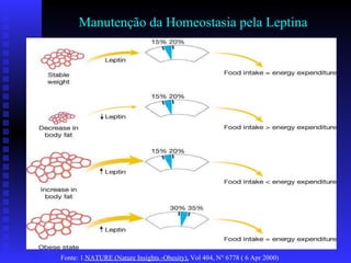 Manutenção da Homeostasia pela Leptina Fonte:  1. NATURE (Nature Insights -Obesity),  Vol 404, N° 6778 ( 6 Apr 2000) 
