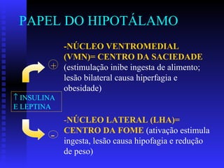 PAPEL DO HIPOTÁLAMO -NÚCLEO VENTROMEDIAL (VMN)= CENTRO DA SACIEDADE   (estimulação inibe ingesta de alimento; lesão bilateral causa hiperfagia e obesidade) - NÚCLEO LATERAL (LHA)= CENTRO DA FOME   (ativação estimula ingesta, lesão causa hipofagia e redução de peso)    INSULINA E LEPTINA + - 