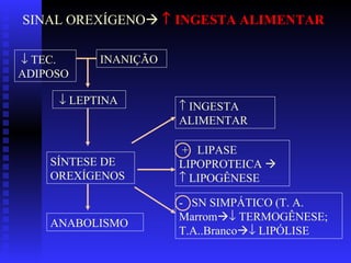 SINAL OREXÍGENO      INGESTA ALIMENTAR    TEC. ADIPOSO     LEPTINA SÍNTESE DE OREXÍGENOS    INGESTA ALIMENTAR +  LIPASE LIPOPROTEICA       LIPOGÊNESE  -  SN SIMPÁTICO (T. A. Marrom    TERMOGÊNESE; T.A..Branco    LIPÓLISE ANABOLISMO INANIÇÃO 