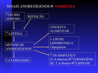    LEPTINA    SN SIMPÁTICO (T.A.Marrom   TERMOGÊNE-SE; T.A.Branco   LIPÓLISE  INGESTA ALIMENTAR    LIPASE LIPOPROTEICA   lipogênese  TECIDO ADIPOSO REFEIÇÃO SÍNTESE DE ANOREXÍGENOS CATABOLISMO SINAIS ANOREXÍGENOS    ANOREXIA 