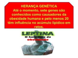 HERANÇA GENÉTICA
   Até o momento, sete genes são
  conhecidos como causadores da
 obesidade humana e pelo menos 20
têm influência no acúmulo lipídico em
                ratos.
 
