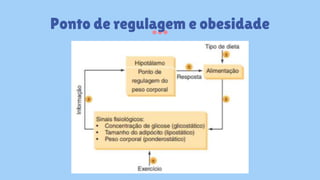 Ponto de regulagem e obesidade
 