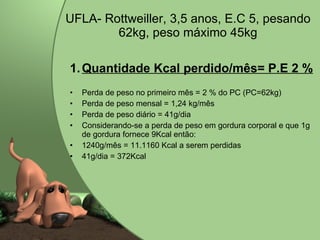UFLA- Rottweiller, 3,5 anos, E.C 5, pesando 62kg, peso máximo 45kg Quantidade Kcal perdido/mês= P.E 2 % Perda de peso no primeiro mês = 2 % do PC (PC=62kg) Perda de peso mensal = 1,24 kg/mês Perda de peso diário = 41g/dia Considerando-se a perda de peso em gordura corporal e que 1g de gordura fornece 9Kcal então: 1240g/mês = 11.1160 Kcal a serem perdidas 41g/dia = 372Kcal  