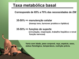 Varia com idade, peso corporal, raça, espécie, sexo, status fisiológico, temperatura, nutrição prévia. 