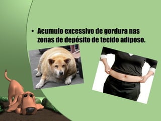 Acumulo excessivo de gordura nas zonas de depósito de tecido adiposo. 