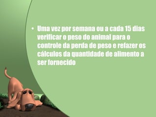 Uma vez por semana ou a cada 15 dias verificar o peso do animal para o controle da perda de peso e refazer os cálculos da quantidade de alimento a ser fornecido 